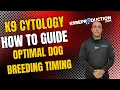 Canine Vaginal Cytology Step-by-Step Guide for Optimal Dog Breeding Timing Hoak Labs Kit Overview