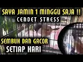 Download Lagu CARA MUDAH MENYEMBUHKAN DAN MENGGACORKAN BURUNG CENDET STRESS ( MACET BUNYI )