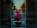 Download Lagu Jaya Janardhana Krishna Radhika pathi #Krishna Janmashtami_WhatsApp status 🎧