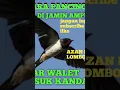 Download Lagu SP-TARIK+INAP YANG AMPUH#burung#walet gratis#suara