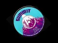 THE MAYTALS ♦ It's You/Version {SUMMIT 7" 1971}