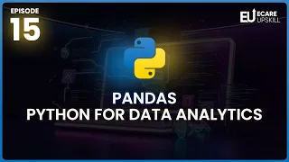 Pandas in Python Explained Beginner Guide to Data Analytics eCare Upskill