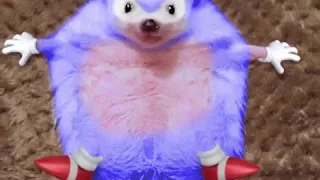 Real Life Sonic The Hedgehog 