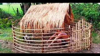 Save a cute  Wild Pig From Hole and Building Mini Wild Pig House