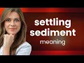 Settling Sediment Unraveling the Meaning