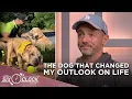 Niall Harbison on saving dogs in Thailand Liam Gallagher the dog that changed his outlook on life