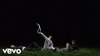 The Chainsmokers, Oaks - Wild (Official Visualizer)