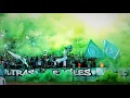 Download Lagu ULTRAS OF RAJA CASABLANCA SINGING FOR PALESTINE (With Translation)