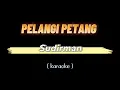 Pelangi Petang - Sudirman Arshad (Karaoke) 🎤