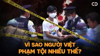 Đi Nhật Đổi Đời, Vì Sao Nhiều Người Việt Lại Rơi Vào Đường Cùng?