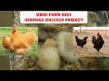 New Heritage Chicken Day-Old Chick Project for 2025