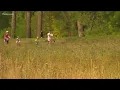 Pollen count in Atlanta extremely high