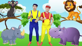 Our friends are animals | Billi Bongo Kids Songs
