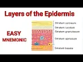 Layers of the Skin EASY Mnemonic to Help Memorize the 5 Layers of the Epidermis Skin Anatomy