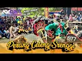 Download Lagu Full Tari Perang Celeng Srenggi Jaranan SAMBOYO PUTRO Live Barengan Nganjuk