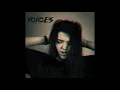 Thorisson & Luna Asteri  - Voices (Audio)