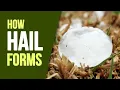 What is hail How is hail formed and why does it happen Weather Wise