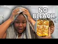 I Dyed My Hair Honey Blonde WITHOUT Bleach L Oreal HiColor
