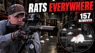 RAT SHOOTING MADNESS | 157 Rats vs a Thermal Sniper