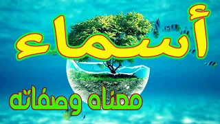 معنى اسم أسماء و صفات حاملة هذا الإسم Asmaa 