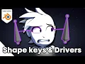 Shape Keys Drivers and the face rig in Blender for Beginners