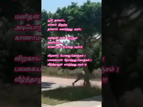 Chinna Kutti Azhagai - YouTube