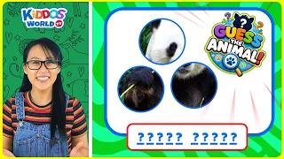 Can You Guess the Animal? | Fun Guessing Activity for Kids Learning with Miss V
