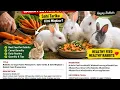 How to Feed Carrots to Rabbits Rabbit Feeding Tips Life on the Farm with SZ
