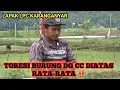 Download Lagu TORESI BURUNG DG CC DI ATAS RATA RATA 