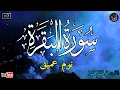 Download Lagu سورة البقرة طاردة الشياطين💚 بصوت هادئ ومريح جدا جدا 💚💤تلاوة هادئة للنوم والراحة النفسية 😴