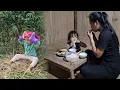 Download Lagu Mother and daughter cut straw from the field, came home, slaughtered chicken and cooked rice to eat