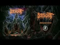 Lagu DETERIOROT (US) - AWAKENING (Album) - Iron Fortress Records 2026