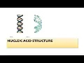 Lecture 3 DNA Structure Replication and Packaging