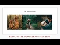 Design Responsive Bootstrap 5 Website Section - Bootstrap 5 HTML CSS