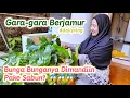 Download Lagu Bercocok tanaman sama nenek