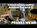 Lagu WULLAN KENA PRANKS GX TEGA LIAT NYA NANGIS AAMPAI PINGSAN ‼️🤣
