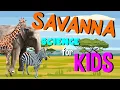 What is a Savanna Science for Kids