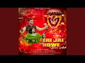 Download Lagu Teri Jai Howe Bawe Aali