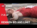 Download Lagu Extremsport: Ans Limit gehen und trotzdem gesund bleiben? | Puls | SRF Wissen