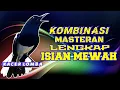 Download Lagu MASTERAN KACER PAGI HARI FULL MATERI MERANGSANG KACER BAHAN CEPAT EMOSI DAN BIRAHI