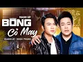 Download Lagu Mashup BÔNG CỎ MAY | Quang Lê ft. Ngọc Phụng | Nghe Một Lần Nhớ Suốt Đời 
