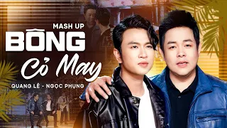 Mashup cỏ bông may