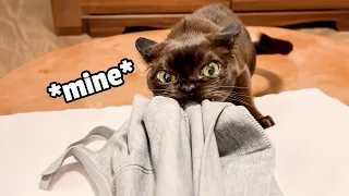 It's Mine...My Precious!