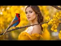 Download Lagu ВАЛЬС ДОЖДЯ! Самая красивая мелодия в мире! Самая красивая мелодия в мире #2