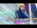 Naagin Gin Gin (Club Remix) - Aastha Gill \u0026 Akasa | Full Audio Song | DJ Royden Dubai | RK MENIYA