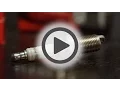 Champion Racing Spark Plug