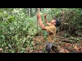 Download Lagu MIKAT BURUNG CUCAK IJO PINGGIRAN HUTAN BUKIT BARISAN