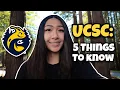 5 Things You Should Know Before Attending UC Santa Cruz UCSC