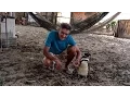 Lagu Patagonian Penguin Finds Second Home in Brazil