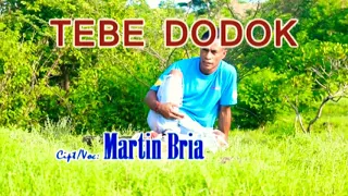Download Marthin Bria - Tebe dodok||Lagu Tebe malaka Terbaru 2020 MP3